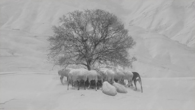 24帧剧照的剧照