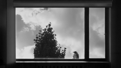 24帧剧照的剧照