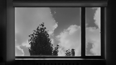 24帧剧照的剧照