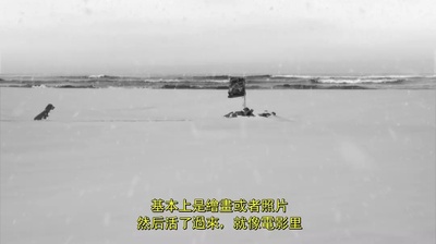 24帧剧照的剧照