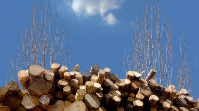 24帧剧照的剧照