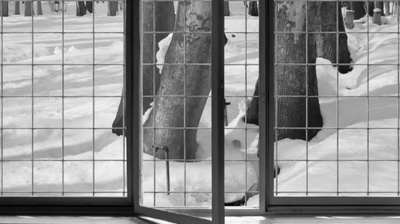 24帧剧照的剧照