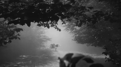 24帧剧照的剧照