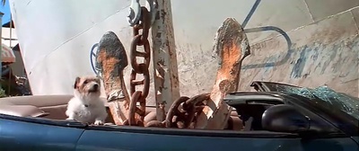 生死时速2：海上惊情剧照的剧照