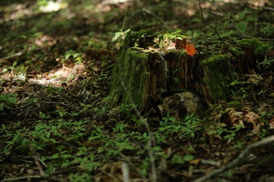 杀手们剧照的剧照