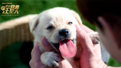 营救汪星人剧照的剧照