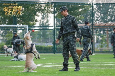 营救汪星人剧照的剧照