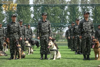 营救汪星人剧照的剧照