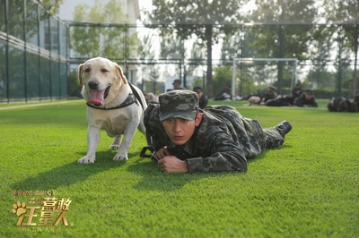 营救汪星人剧照的剧照