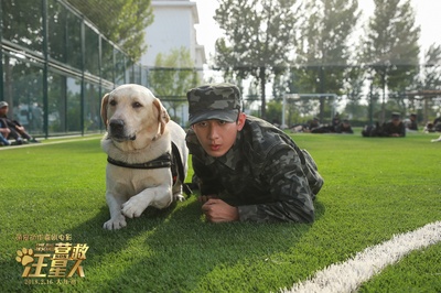 营救汪星人剧照的剧照