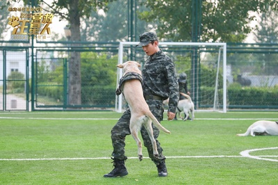 营救汪星人剧照的剧照