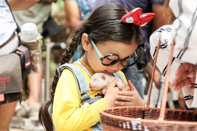 营救汪星人剧照的剧照