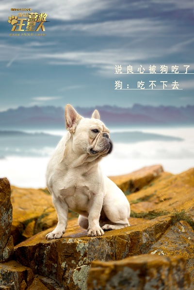 营救汪星人剧照的剧照