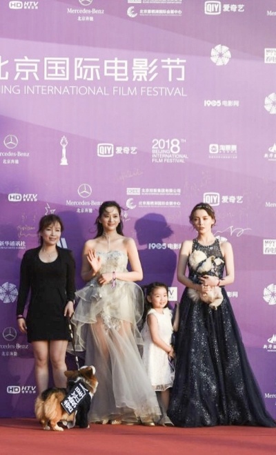 营救汪星人剧照的剧照