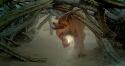 绝命荒漠剧照的剧照