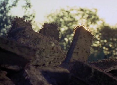 生物奇观剧照的剧照