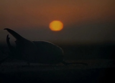 生物奇观剧照的剧照