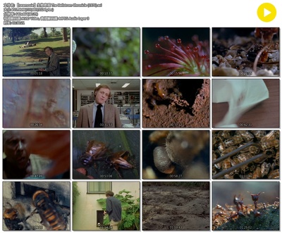 生物奇观剧照的剧照