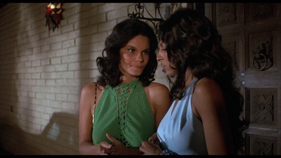 骚狐狸剧照的剧照