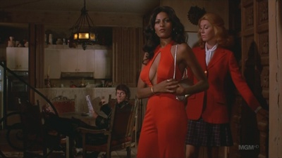 骚狐狸剧照的剧照