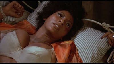 骚狐狸剧照的剧照