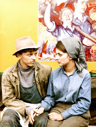 失翼灵雀剧照的剧照