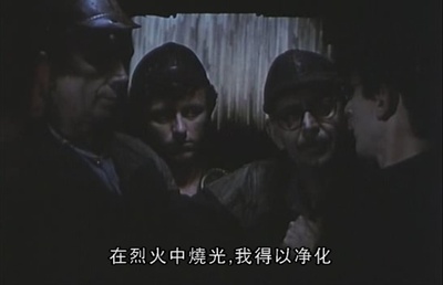 失翼灵雀剧照的剧照