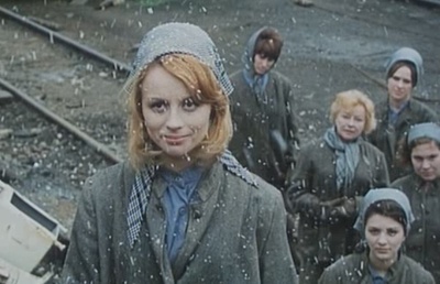 失翼灵雀剧照的剧照