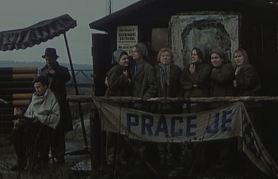 失翼灵雀剧照的剧照