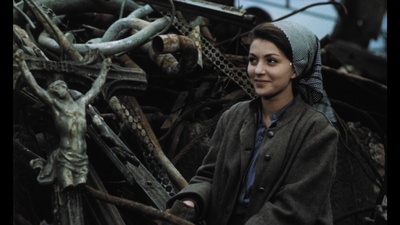 失翼灵雀剧照的剧照