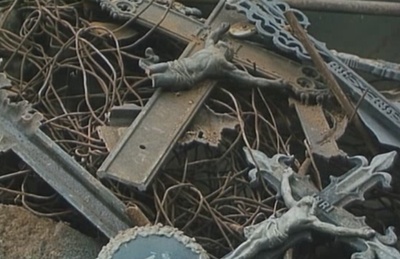 失翼灵雀剧照的剧照