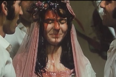 失翼灵雀剧照的剧照