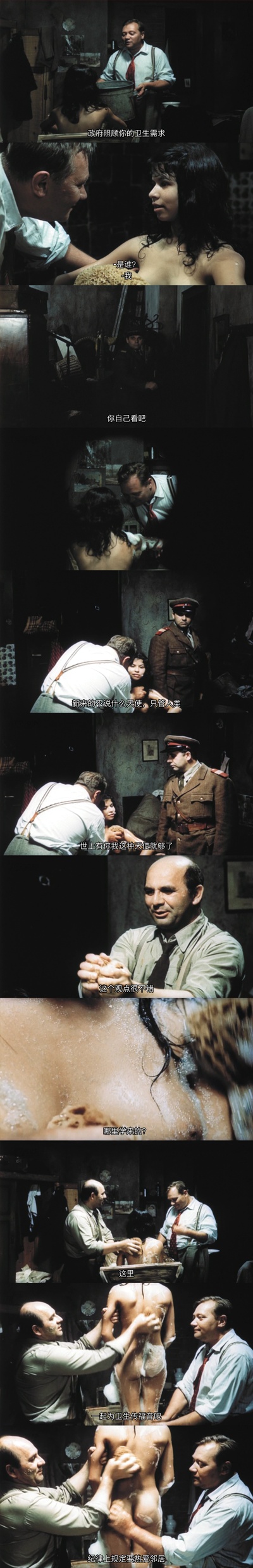 失翼灵雀剧照的剧照