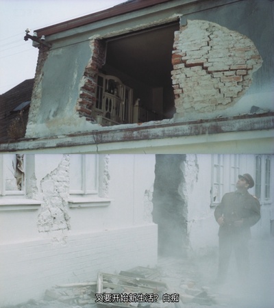 失翼灵雀剧照的剧照