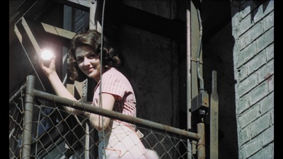 失翼灵雀剧照的剧照