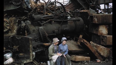 失翼灵雀剧照的剧照