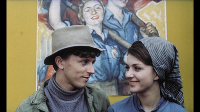 失翼灵雀剧照的剧照