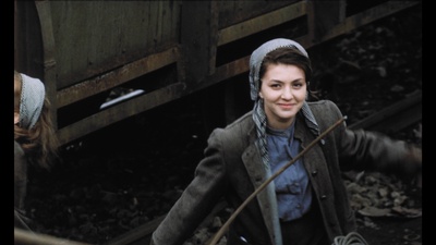 失翼灵雀剧照的剧照