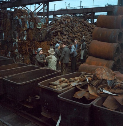 失翼灵雀剧照的剧照