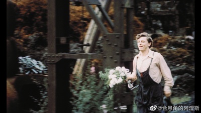 失翼灵雀剧照的剧照