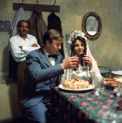 失翼灵雀剧照的剧照