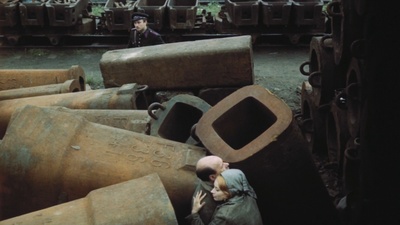 失翼灵雀剧照的剧照