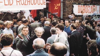 失翼灵雀剧照的剧照