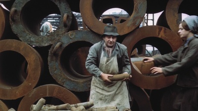 失翼灵雀剧照的剧照