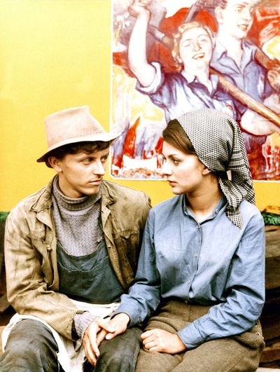 失翼灵雀剧照的剧照