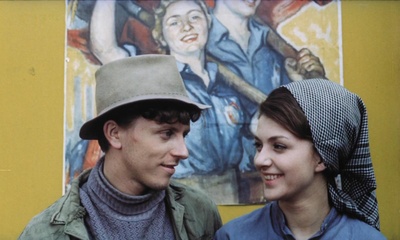 失翼灵雀剧照的剧照