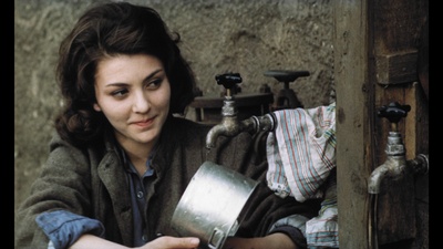 失翼灵雀剧照的剧照