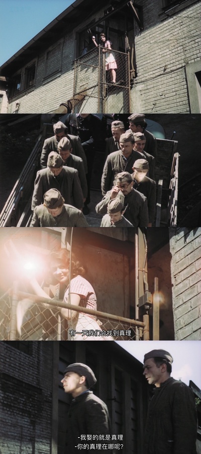 失翼灵雀剧照的剧照