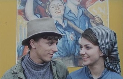 失翼灵雀剧照的剧照