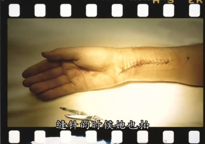 镜头里的人生：肖像摄影大师安妮·莱博维茨剧照的剧照